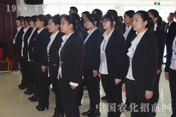 火爆的發(fā)展靠團(tuán)隊